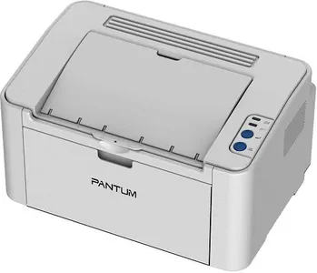 Ремонт принтера Pantum P2200 в Москве